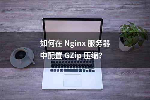 如何在 Nginx 服务器中配置 GZip 压缩？