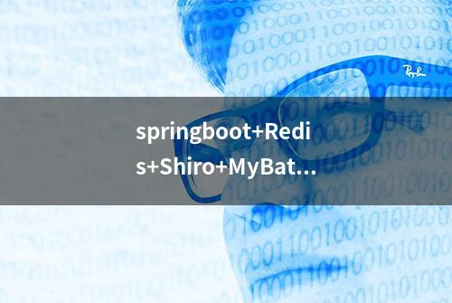 springboot+Redis+Shiro+MyBatis炸翔版CMS开源系统(代码+视频)