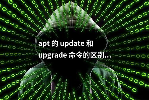 apt 的 update 和 upgrade 命令的区别是什么？