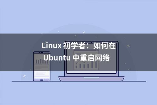 Linux 初学者：如何在 Ubuntu 中重启网络