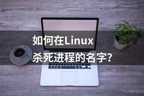 如何在Linux杀死进程的名字？