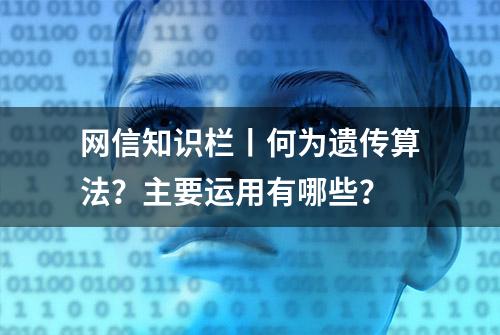 网信知识栏丨何为遗传算法？主要运用有哪些？