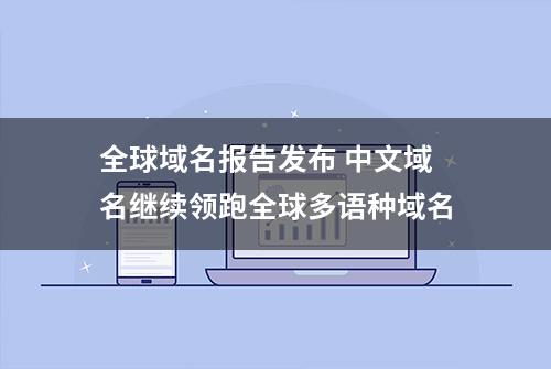 全球域名报告发布 中文域名继续领跑全球多语种域名