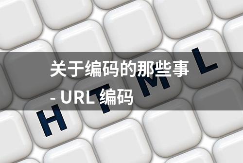 关于编码的那些事 - URL 编码