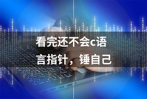 看完还不会c语言指针，锤自己