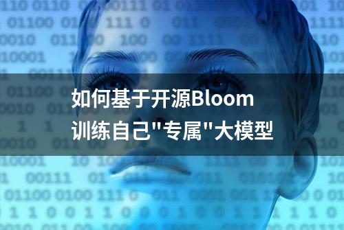 如何基于开源Bloom训练自己