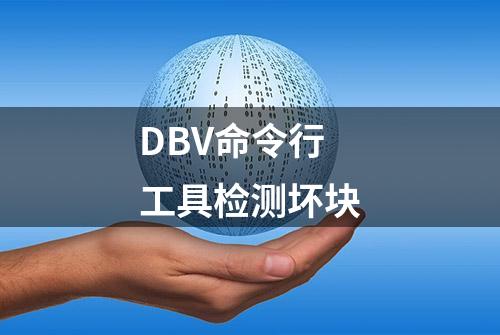 DBV命令行工具检测坏块