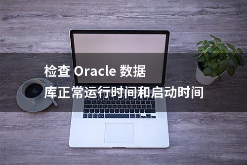 检查 Oracle 数据库正常运行时间和启动时间