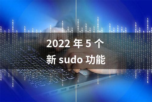 2022 年 5 个新 sudo 功能