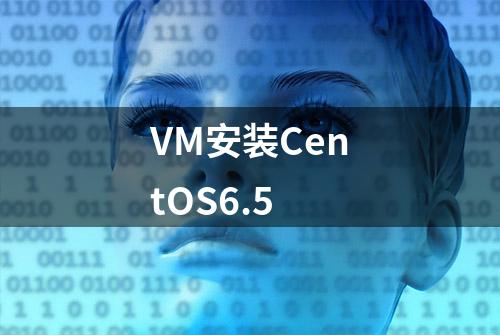 VM安装CentOS6.5