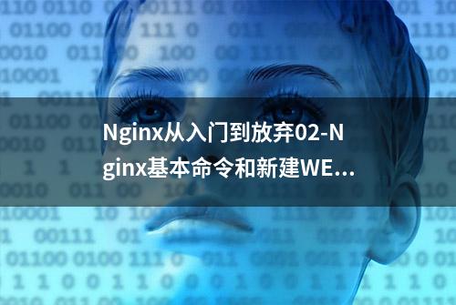 Nginx从入门到放弃02-Nginx基本命令和新建WEB站点