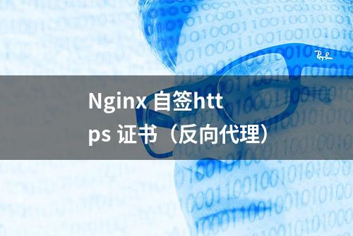 Nginx 自签https 证书（反向代理）