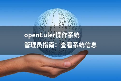 openEuler操作系统管理员指南：查看系统信息