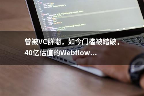 曾被VC群嘲，如今门槛被踏破，40亿估值的Webflow做对了什么？| 全球独角兽