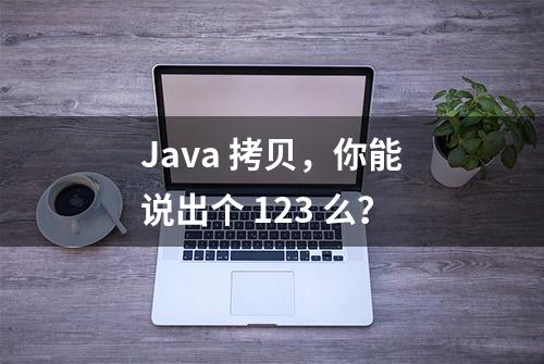 Java 拷贝，你能说出个 123 么？