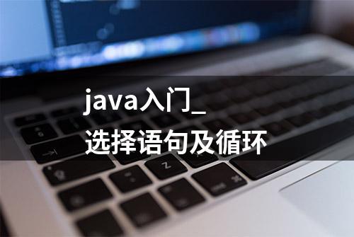 java入门_选择语句及循环