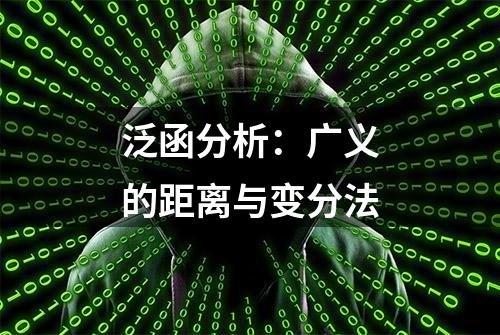 泛函分析：广义的距离与变分法