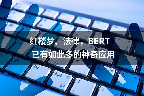 红楼梦、法律，BERT 已有如此多的神奇应用