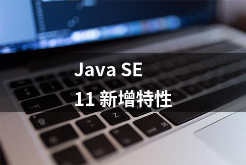 Java SE 11 新增特性