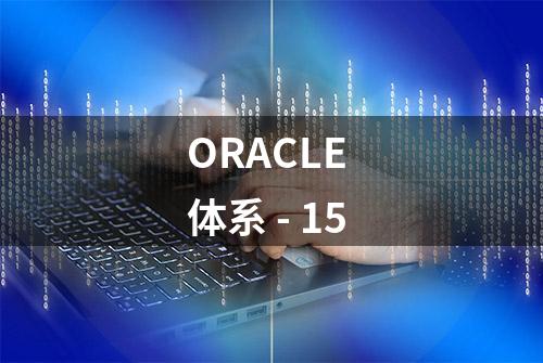 ORACLE 体系 - 15