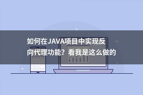 如何在JAVA项目中实现反向代理功能？看我是这么做的