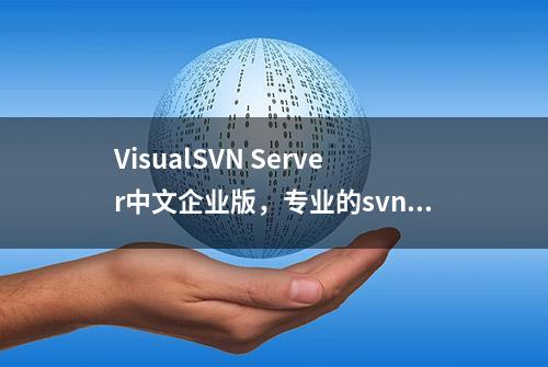 VisualSVN Server中文企业版，专业的svn服务端工具！