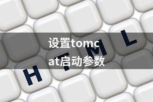 设置tomcat启动参数