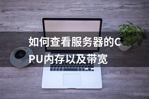 如何查看服务器的CPU内存以及带宽