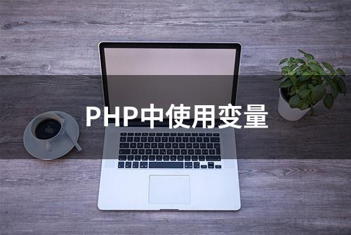 PHP中使用变量