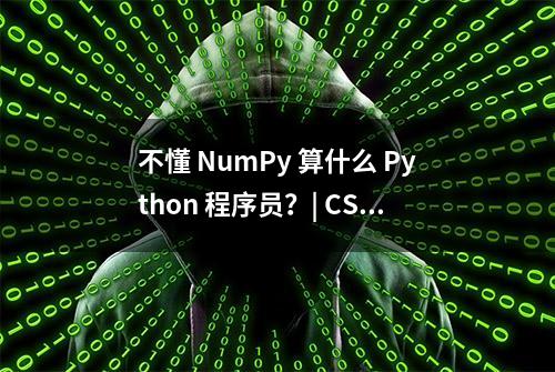 不懂 NumPy 算什么 Python 程序员？| CSDN 博文精选