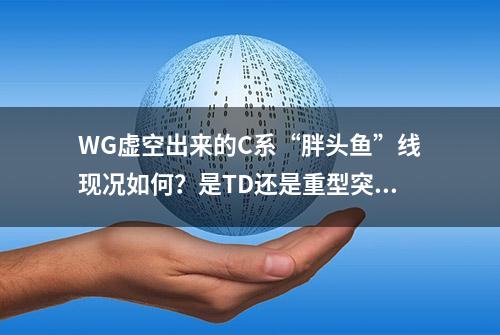 WG虚空出来的C系“胖头鱼”线现况如何？是TD还是重型突击炮？