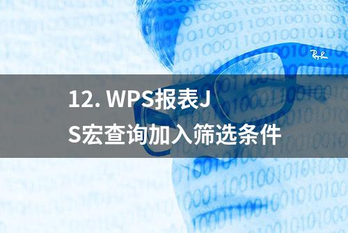 12. WPS报表JS宏查询加入筛选条件