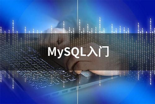 MySQL入门