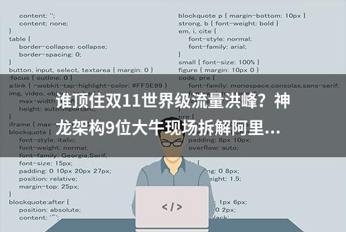 谁顶住双11世界级流量洪峰？神龙架构9位大牛现场拆解阿里秘籍