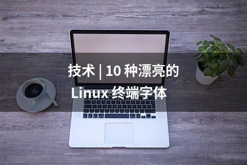 技术 | 10 种漂亮的 Linux 终端字体