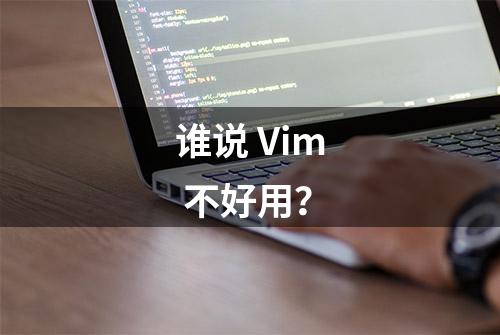 谁说 Vim 不好用？