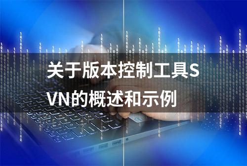 关于版本控制工具SVN的概述和示例