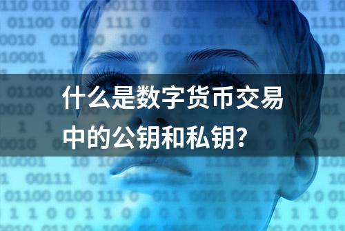 什么是数字货币交易中的公钥和私钥？