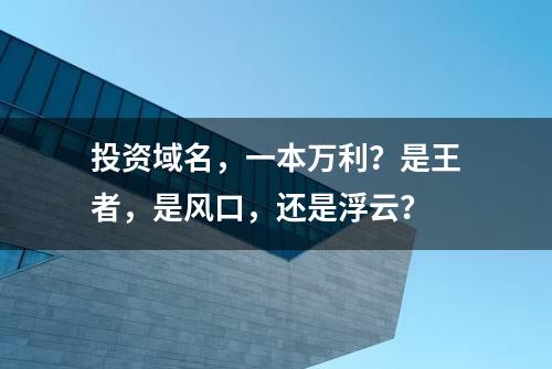 投资域名，一本万利？是王者，是风口，还是浮云？