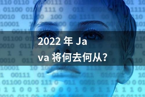 2022 年 Java 将何去何从？