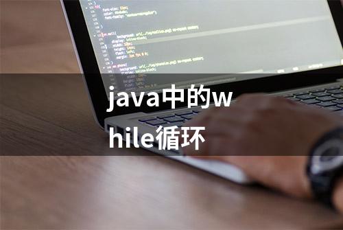 java中的while循环