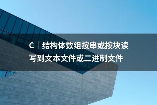 C｜结构体数组按串或按块读写到文本文件或二进制文件