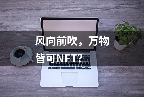 风向前吹，万物皆可NFT？