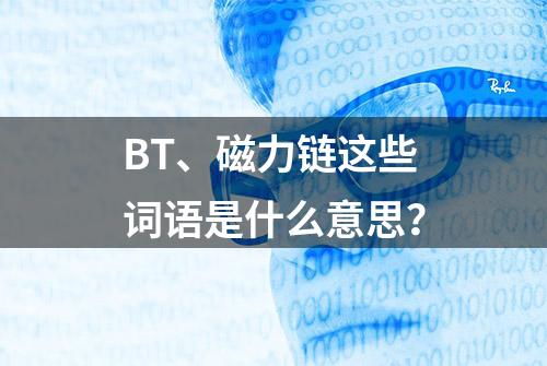 BT、磁力链这些词语是什么意思？