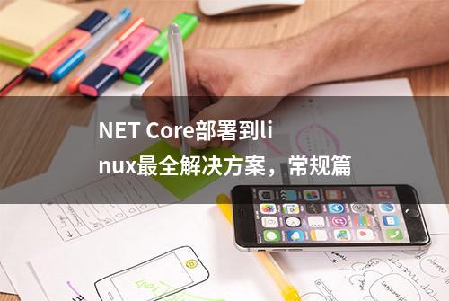 NET Core部署到linux最全解决方案，常规篇