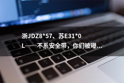 浙JDZ8*57、苏E31*0L……不系安全带，你们被曝光啦！