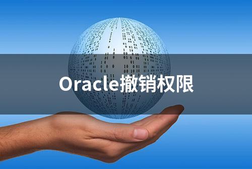 Oracle撤销权限