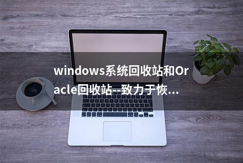 windows系统回收站和Oracle回收站--致力于恢复不小心删除的对象