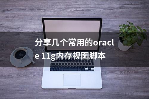 分享几个常用的oracle 11g内存视图脚本