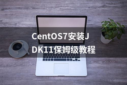 CentOS7安装JDK11保姆级教程